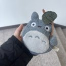 (주)고분도리 총각네 | 제 눈이 코르티스 바짓단 같단 얘긴가요?