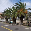 대흥장모텔 이미지