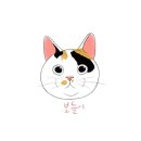 민화화실묘한