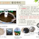 Amino acids and hormone liquid fertilizers 아미노산과 호르몬액비 이미지