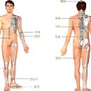 경혈 뜸자리 16혈 이미지