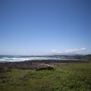 표선리-16 이미지