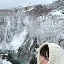 광광타이어 | 훗카이도 5박 6일 1월 말 여행(크리스마스나무, 마일드세븐나무, 켄과메리나무, 비에이 여행, 준페이...