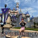 구석기우주인 | 미국 애너하임 뽕뽑는 디즈니랜드+ 디즈니플러스 후기 2탄(+디즈니앱 사용, 퍼레이드 꿀팁, 식당, 굿즈...