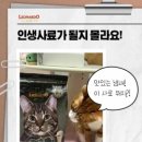 나투어리베 이미지