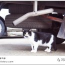 두실역 8번출구 이미지