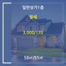 권오경 사무소 이미지