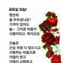 오늘도굿데이