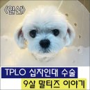 삼송사랑 동물의료센터 이미지