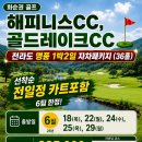 해피니스여행사 네이버블로그