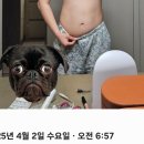 원미동92-1 ↔ 원미동54-25 | 지방사약 1달 복용 내돈내산 후기!! 부작용, 요요 자연과 한의원 신촌점