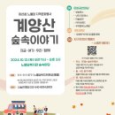 숲속이야기 이미지