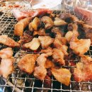 돼지의전성시대 이미지