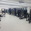 애룰바디 이미지