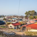 마파마을회관 이미지