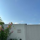 오아스 | [예천] 자연+감성+한옥 끝판왕! 예천 숲뷰 한옥스테이 '오아스' 완벽 후기