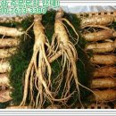 금산인삼 - 금산군 비단로 140 | 금산인삼