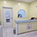 뽀송뽀송 애견미용 이미지