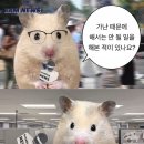 2025년 5월