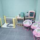 배츄네펫살롱 | 울산 배츄네펫살롱 후기💕