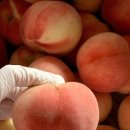 주식회사 두부누나네 이미지