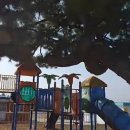 용북초등학교병설유치원 이미지