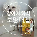 하모니유통 | 저알러지 강아지 화식 사료 추천 보양대첩 하모니 연어와 브로콜리 급여후기