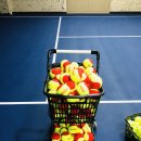 조이스포츠아카데미 이미지