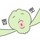 이기린 | 블챌하는 미용사 어때요?