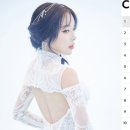 (주)지니어스글로벌 스타뉴스