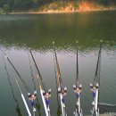 신장소류지 이미지