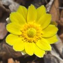 가산지구휴게소화장실 | 팔공산 가산산성 한티휴게소 코스 왕복10.4km / 한티재휴게소-부계봉 정자쉼터-치키봉-할매할배바위...