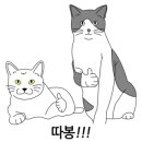 지경희동물병원 이미지