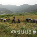 새통영농협 사량지점