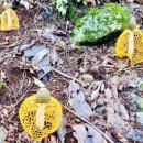 삼회2리 마을회관 | [고동산] 대중교통으로 떠나는 당일치기 등산여행 feat. 경기 가평 / 양평 고동산 &amp; 화야산