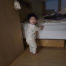 코이시스템 | [11개월] 어린이집가서 걸려온 코감기, 콧물흡입기 사용기(입소 장단점, 잼잼, 콧물, 공넣기, 춤추기)