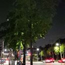 롯데마트계양점 이미지