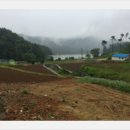 다시농장 이미지