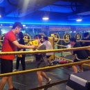 수성아트복싱클럽 이미지