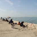 김종성농장 이미지