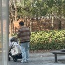 도담베베 이미지