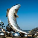 대광해수욕장 이미지