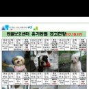 유기동물보호센터 공고현황(10월16일~17일) 이미지