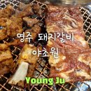야초원 이미지