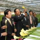 봉동칼라 이미지