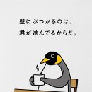 휘야 이미지