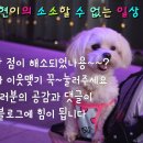 (주)대호환경 이미지