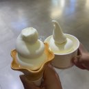 백미당현대아울렛 | 동대문 현대시티아울렛 디저트 추천｜백미당 우유아이스크림 내돈내산 후기