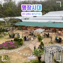 멜리애견유치원 | [광명/밤일마을] 명장시대, 넓은 정원이 있는 대한민국 제과명장 박준서 베이커리 카페🥨