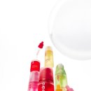 에스씨글로벌 이미지